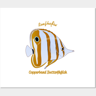 Copperband Butterflyfish Posters and Art